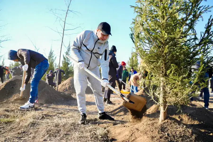Более 1 млн зеленых насаждений высадят в Астане в текущем году (3)