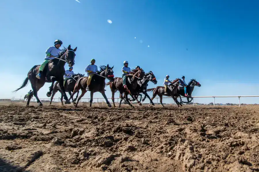 «Алтын күз – 2025»: В Кызылорде прошла республиканская байга (6)