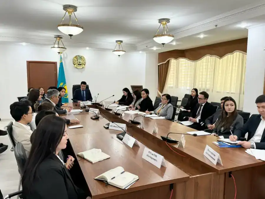 Заседание экспертной группы по разработке Национального адаптационного плана по изменению климата (2)