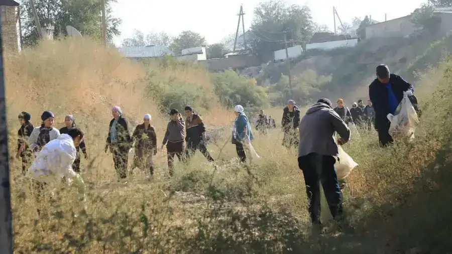 В АРЫСИ ПРОШЕЛ ОБЩЕГОРОДСКОЙ СУББОТНИК НА ЛОЩИНЕ КАБЫЛСАЙ (2)