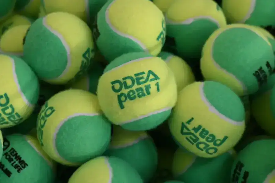 Дархан Сатыбалды принял участие в открытии современного теннисного центра «Алатау» в Алматы (3)