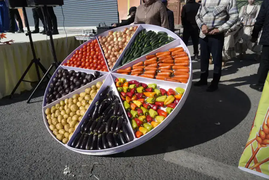 Сельскохозяйственная ярмарка «Алтын күз-2025» (9)