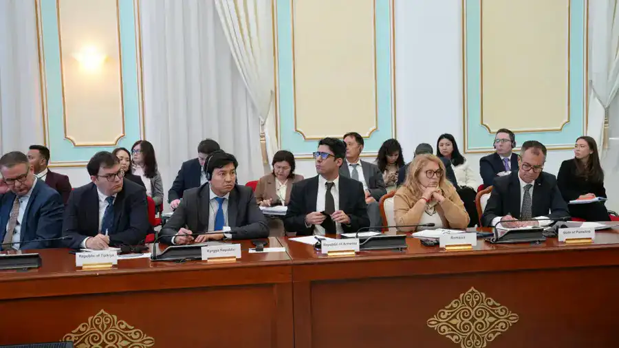 Вице-министр юстиции Ботагоз Жакселекова приняла участие в брифинге для представителей дипломатического корпуса (3)