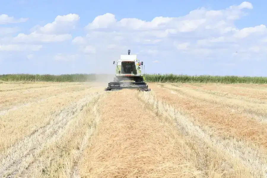 Алматинская область сохраняет рост в агросекторе: рекордные урожаи и инвестиции (4)