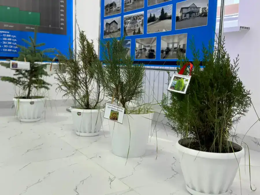 В Кегенском районе отметили День работников лесного хозяйства (6)