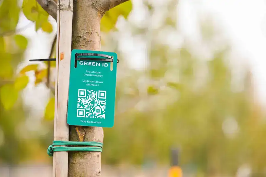 170 дворовых и общественных пространств благоустроили в Астане (4)