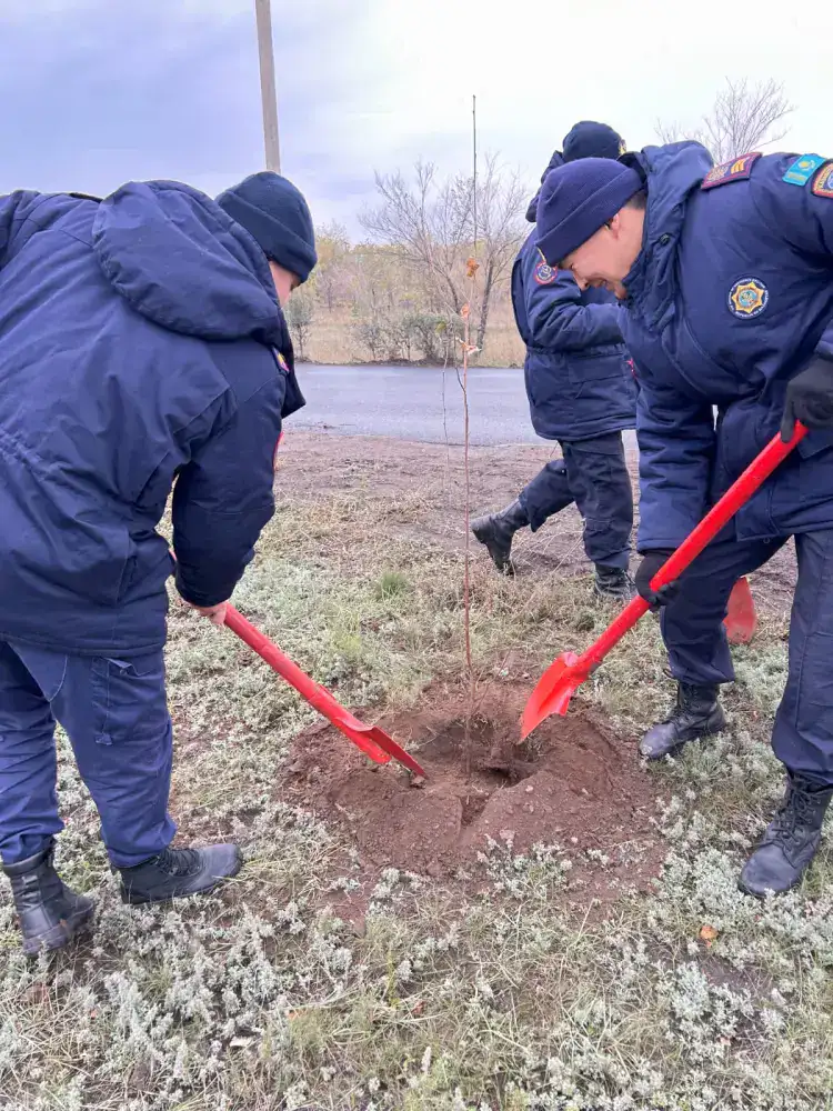 Экологическая акция прошла в Экибастузе (9)