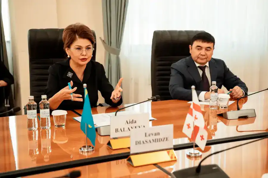 Казахстан и Грузия намерены обмениваться волонтерами и кинофильмами (2)