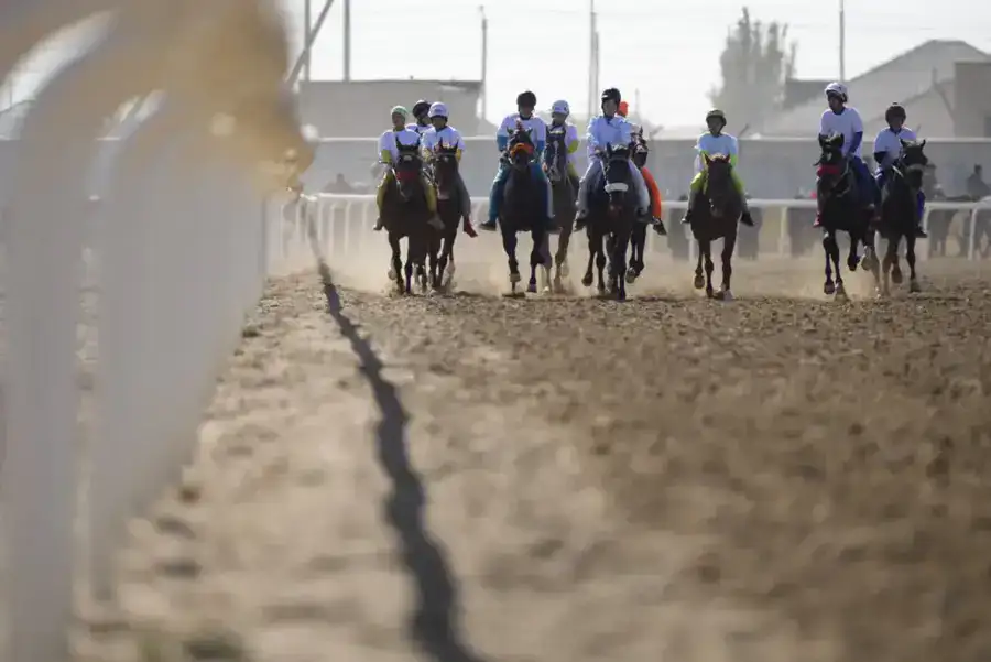 «Алтын күз – 2025»: В Кызылорде прошла республиканская байга (7)