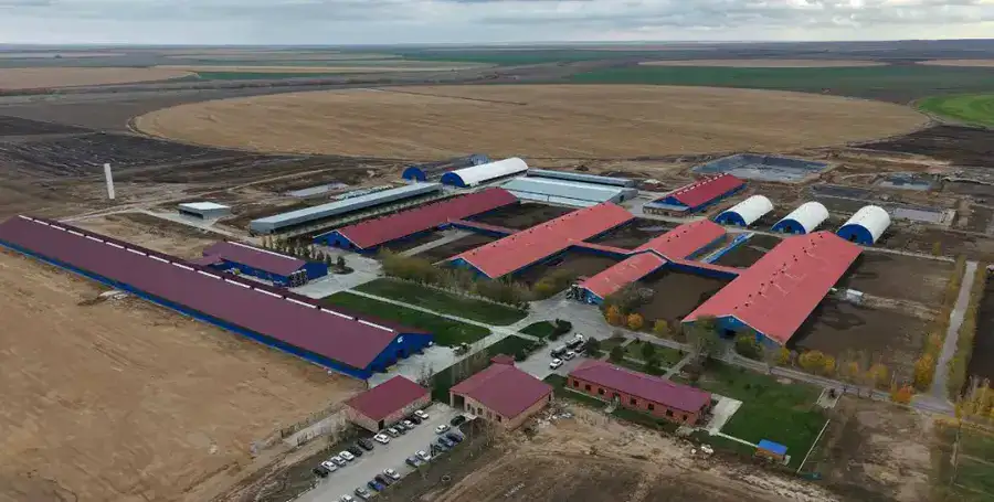 В Актюбинской области ТОО «Айс» привезло из Дании 330 голов племенного скота (3)