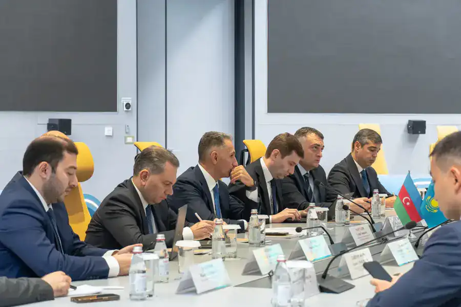 Казахстан выразил готовность принять участие в создании тюркской большой языковой модели (3)