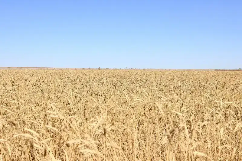 Карагандинская область демонстрирует устойчивый рост экономики (3)