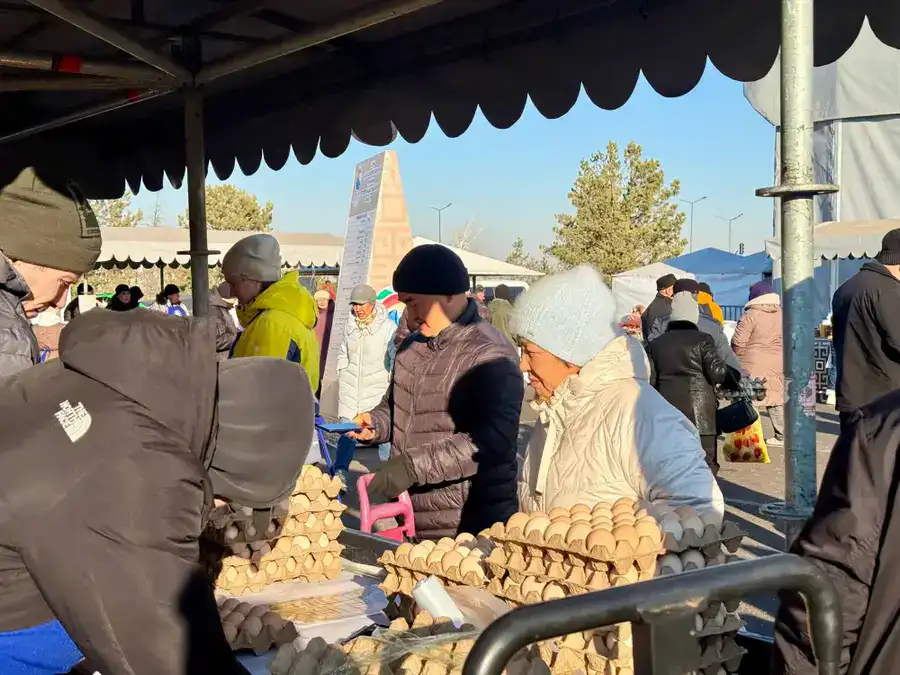 Сделано в СКО: 800 тонн фермерских продуктов привез регион на ярмарку в Астане (8)