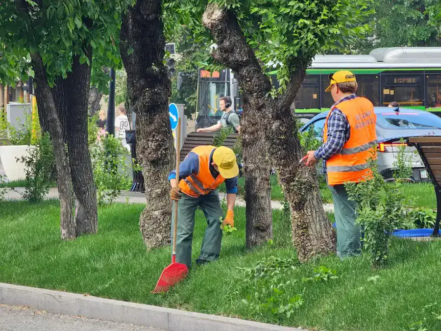 Экологическая акция «Зеленый двор»: жители Алматы высадили сотни деревьев и кустарников (2)