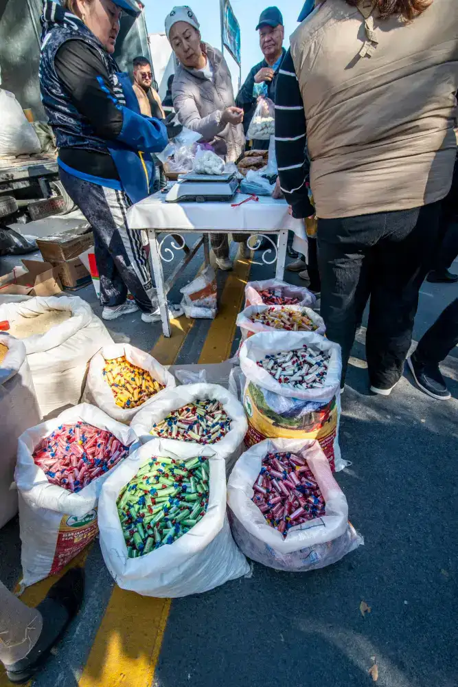 Сельскохозяйственная ярмарка «Алтын күз-2025» (10)