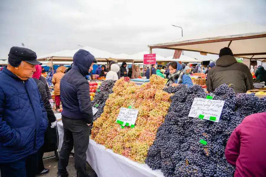 Доступные цены и 700 тонн свежих продуктов: в Астане прошла ярмарка аграриев из Карагандинской и Восточно-Казахстанской областей (10)