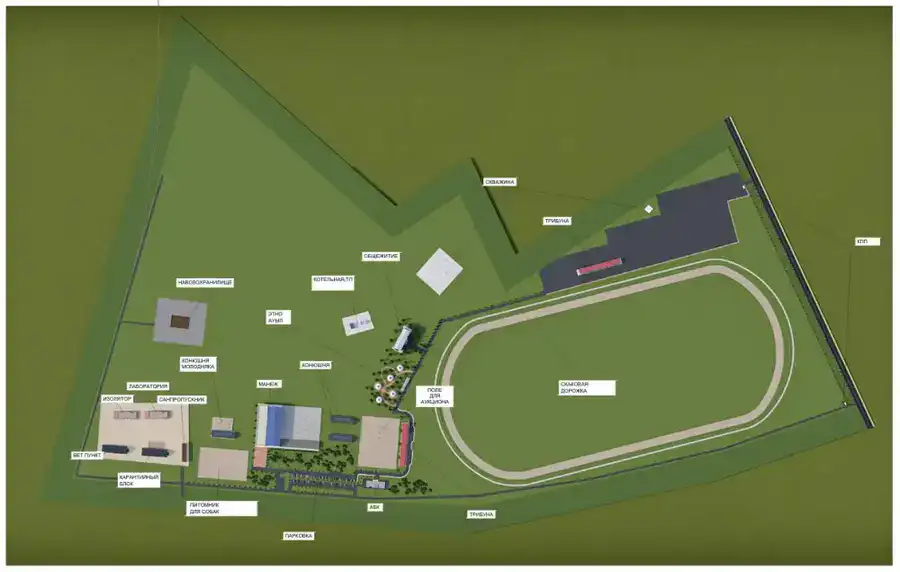 Будущее коневодства: В Казахстане строится новый научный центр (3)