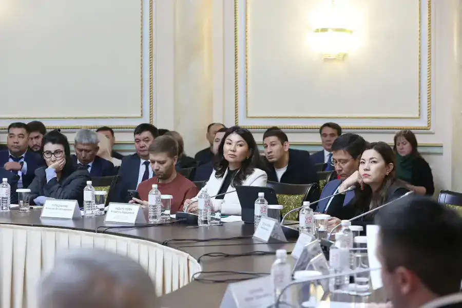 В Алматы поддержат бизнес в период внедрения нового Налогового кодекса (3)