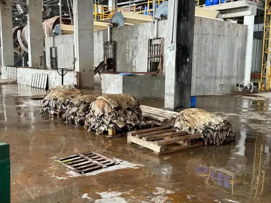 В Западно-Казахстанской области будут перерабатывать более 800 тысяч шкур в год (3)