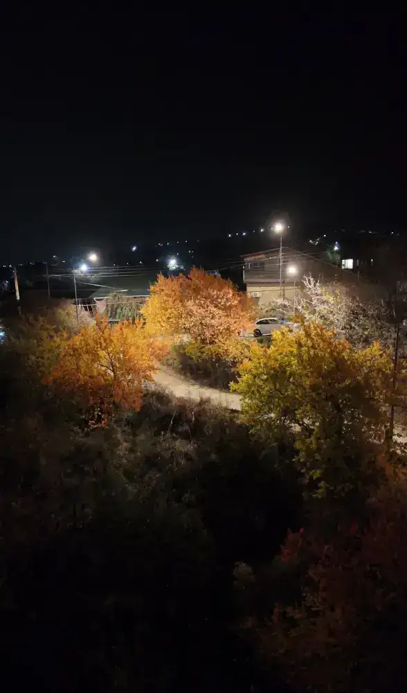 В Наурызбайском районе модернизируют освещение на 51 улице (4)