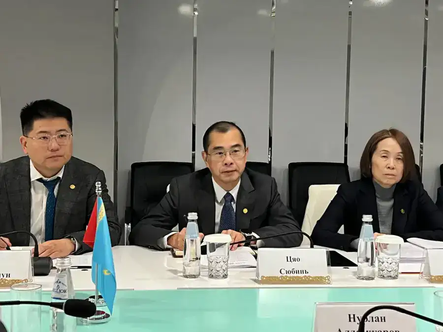 Китайская корпорация готова инвестировать в модернизацию водохозяйственной инфраструктуры Казахстана (2)