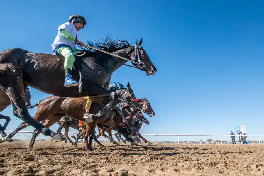 «Алтын күз – 2025»: В Кызылорде прошла республиканская байга (9)