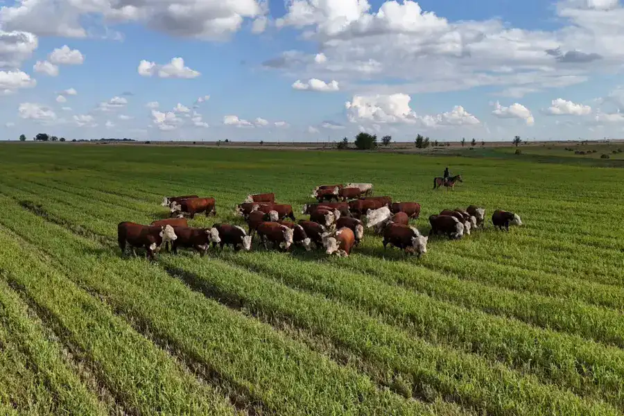 В области Абай государству возвращено более 150 тысяч га сельскохозяйственных земель (6)