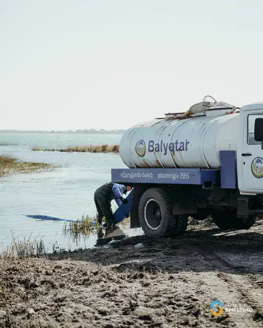 В озеро Балхаш выпустили 125 тысяч сеголеток сазана (2)