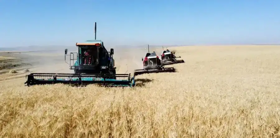 В ТУРКЕСТАНСКОЙ ОБЛАСТИ БЛАГОДАРЯ ГОСУДАРСТВЕННОЙ ПОДДЕРЖКЕ УВЕЛИЧИВАЮТСЯ УРОЖАЙНОСТЬ И ДОХОДЫ В СЕЛЬСКОМ ХОЗЯЙСТВЕ (2)