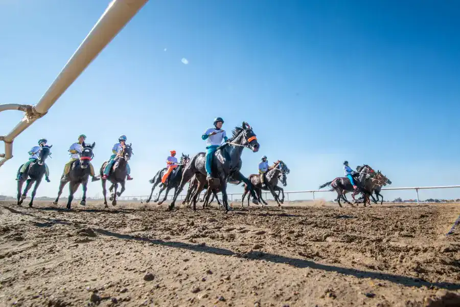 «Алтын күз – 2025»: В Кызылорде прошла республиканская байга (5)