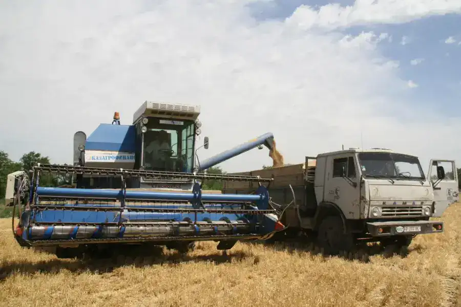 Алматинская область сохраняет рост в агросекторе: рекордные урожаи и инвестиции (10)