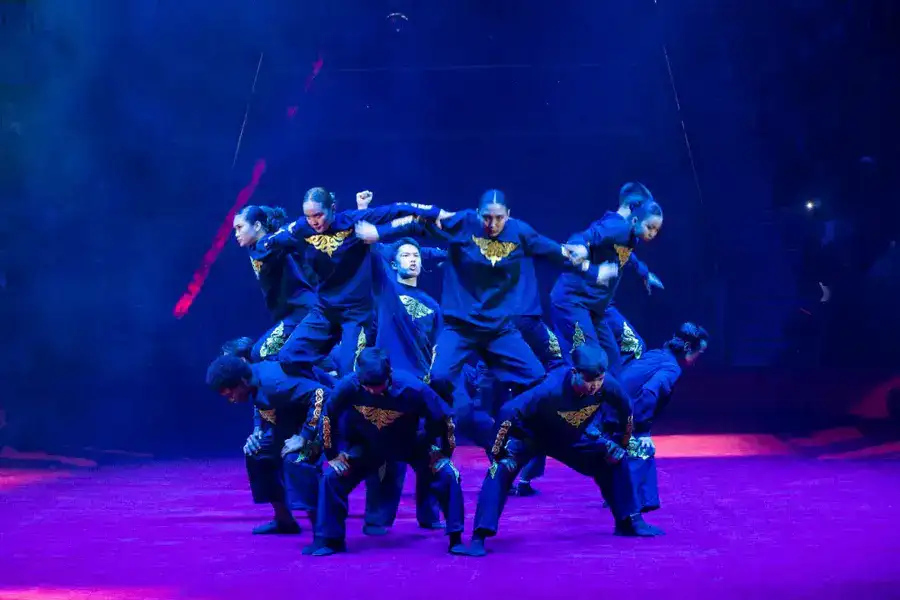 Республиканскому эстрадно-цирковому колледжу имени Жусипбека Елебекова - 60 лет (9)