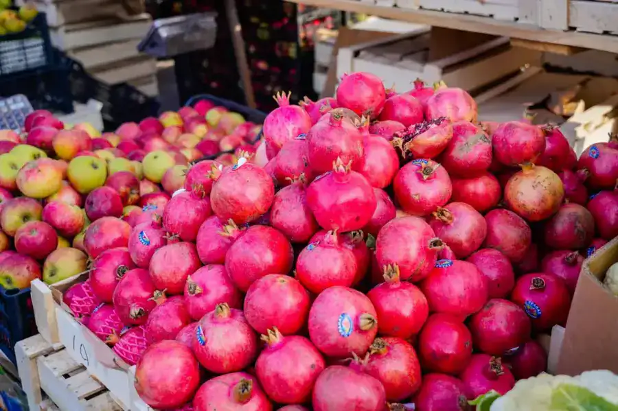 Доступные цены и самые свежие продукты: в Астане проходит ярмарка аграриев Павлодарской и Северо-Казахстанской областей (10)