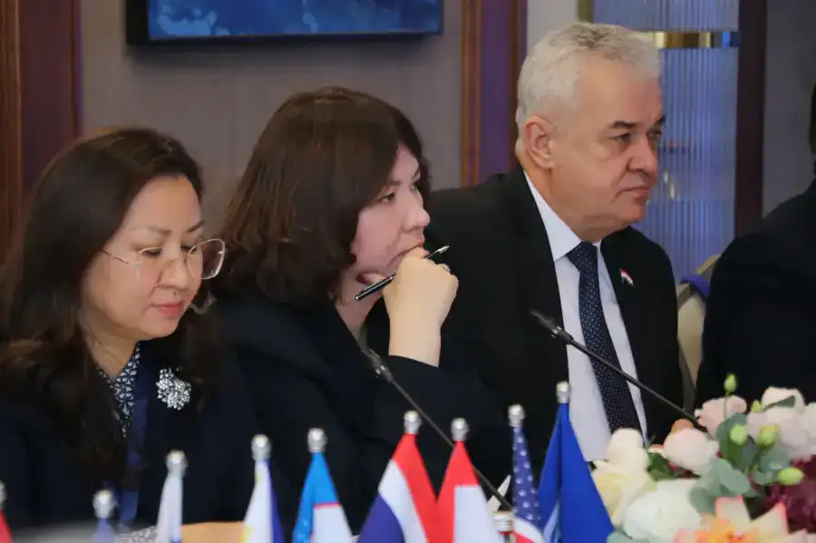 Мировые эксперты обсудили глобальные вызовы в построении инклюзивного общества (3)