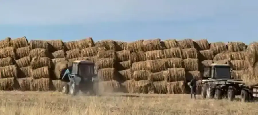 В Аксуатском районе реализуется новый проект в сфере сельского хозяйства (2)