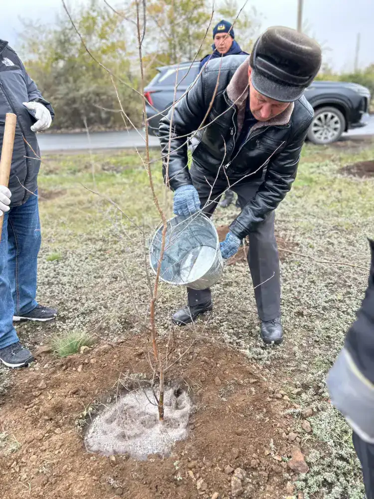 Экологическая акция прошла в Экибастузе (6)
