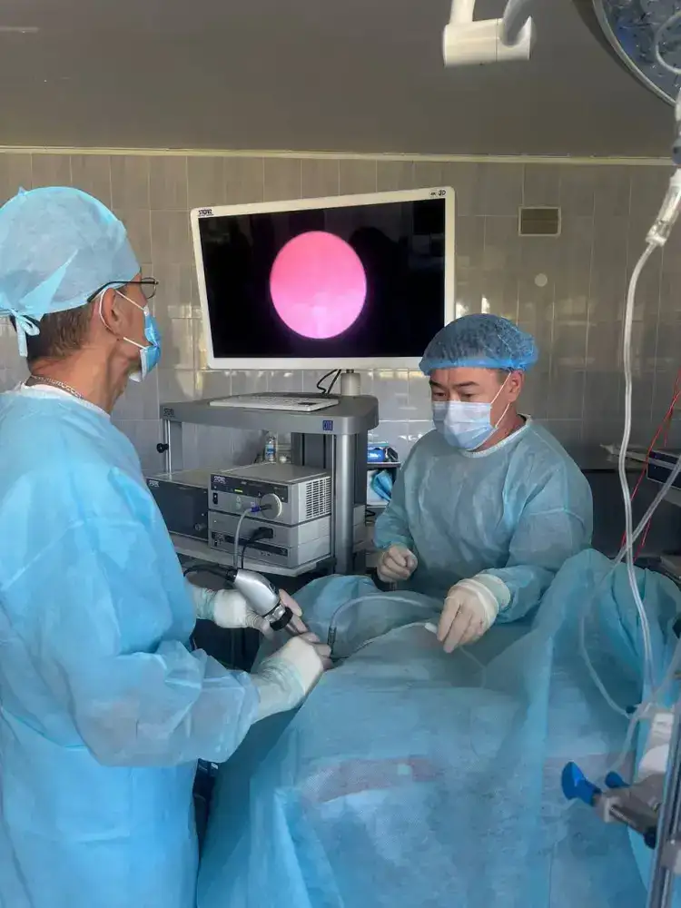 В КАЗАХСТАНЕ ВПЕРВЫЕ ПРОВЕДЕНО ЛЕЧЕНИЕ ДЕТЕЙ МЕТОДОМ ЛАЗЕРНОЙ ЛИТОТРИПСИИ (7)