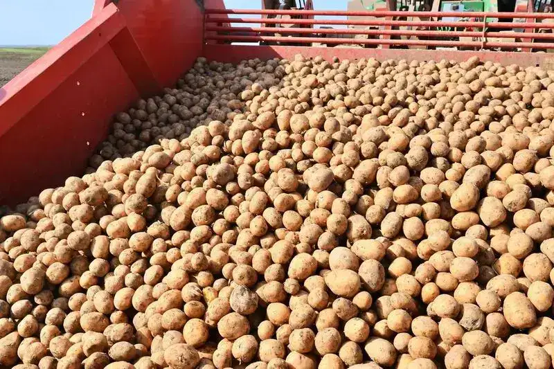 Карагандинская область демонстрирует устойчивый рост экономики (4)