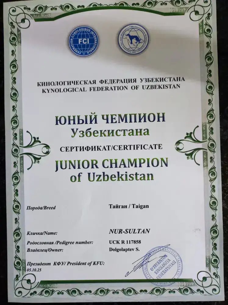 Тайган из Осакаровского района признан лучшим представителем породы в Казахстане (10)