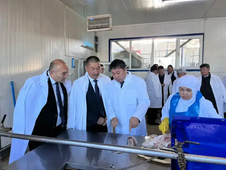 Рыбоперерабатывающий завод «Қарашалаң балық» запустили в Кызылординской области (4)