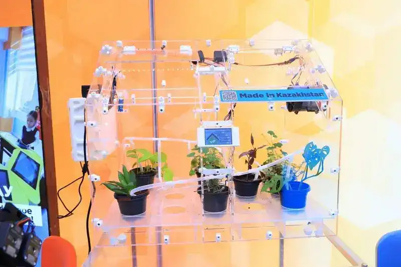 Как развивается дополнительное образование в Карагандинской области (3)