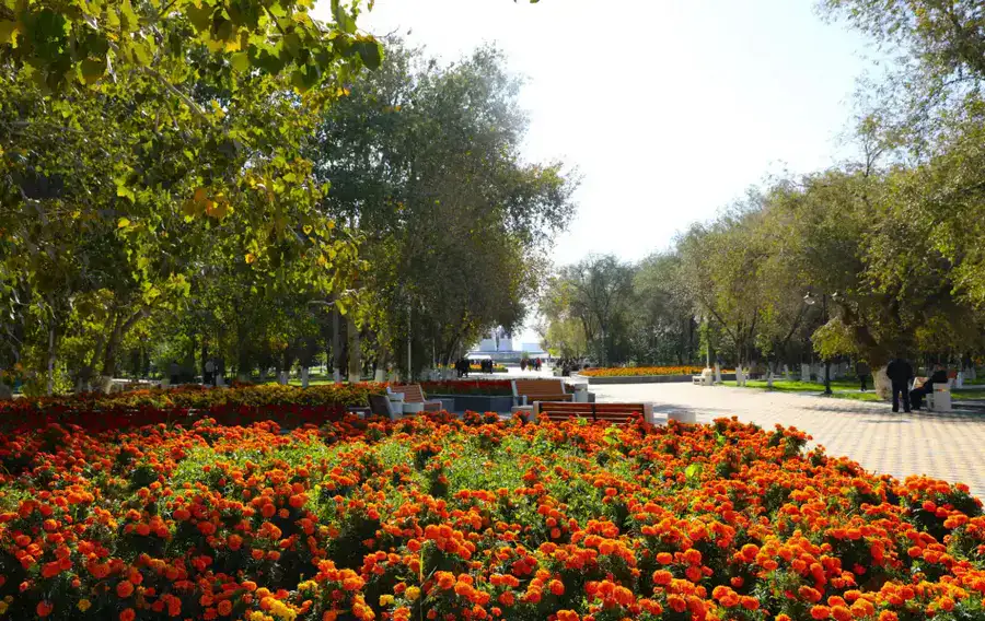 «Таза Қазақстан»: Аким области принял участие в посадке деревьев в обновленном парке (2)