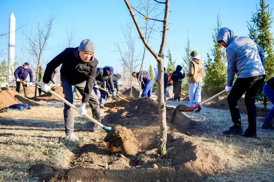 Более 1 млн зеленых насаждений высадят в Астане в текущем году (7)