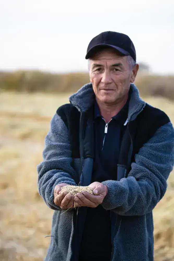 В Балхашском районе идёт активная уборка риса (3)