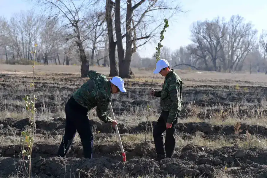 В Семее открылся лесной питомник (10)