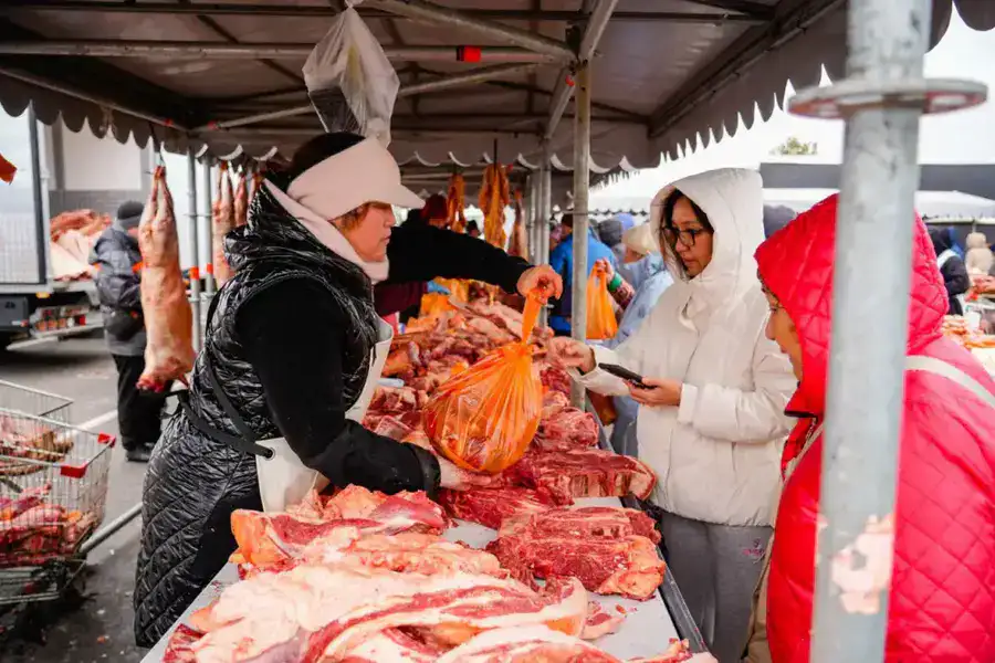 Доступные цены и 700 тонн свежих продуктов: в Астане прошла ярмарка аграриев из Карагандинской и Восточно-Казахстанской областей (4)