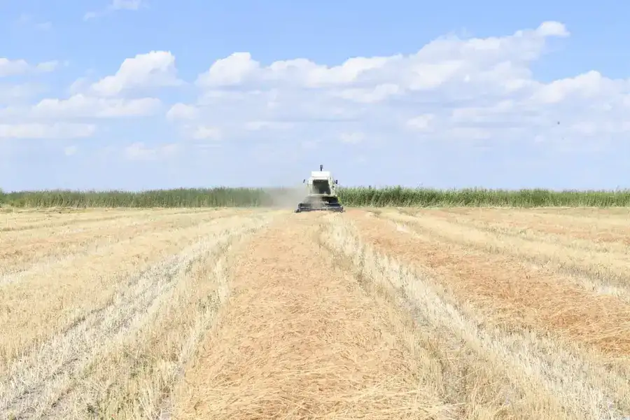 Алматинская область сохраняет рост в агросекторе: рекордные урожаи и инвестиции (6)