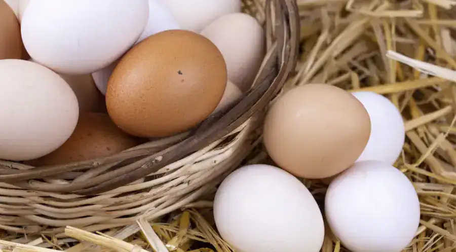 Яйца куриные