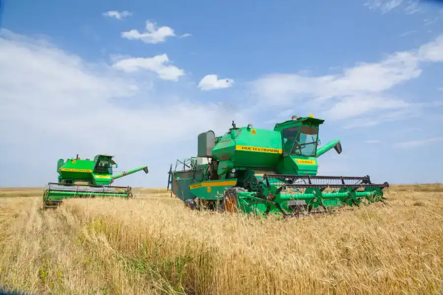 Алматинская область сохраняет рост в агросекторе: рекордные урожаи и инвестиции (7)