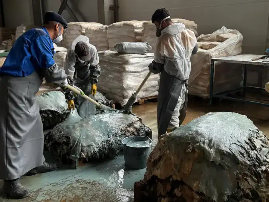 В Западно-Казахстанской области будут перерабатывать более 800 тысяч шкур в год (6)